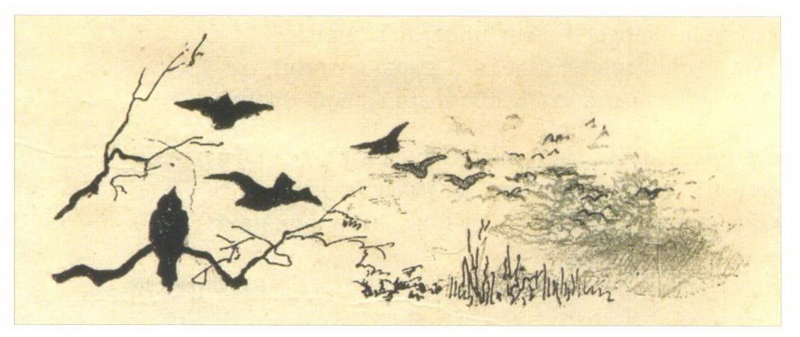Н.К.Рерих. Птицы на ветке (к очерку Н.Ф. Николина  «На Волге»). 1896
