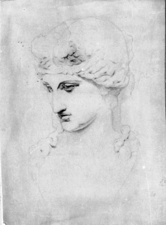 Н.К.Рерих. Голова Венеры. Академический рисунок с гипса. 1893
