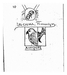 С.Н.Рерих. Лесные птицы. Ястреб. Стр. 10 из рукописного сборника. 1914