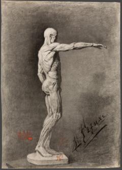 Н.К.Рерих. Экорше (Анатомический рисунок). 1894