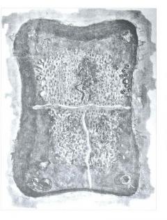 Н.К.Рерих. Общий вид погребения. Майкопский курган.. 1897