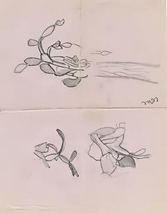 С.Н.Рерих. Растение (наброски). 1940-1960-е