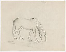 С.Н.Рерих. Лошадь (набросок). 1920-1940-е